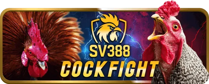 Quy định và văn hóa đá gà